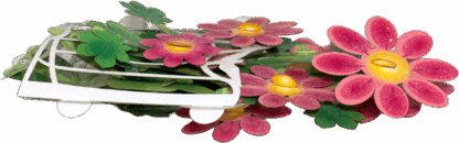 Red Tea Flower