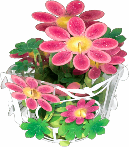 Red Tea Flower