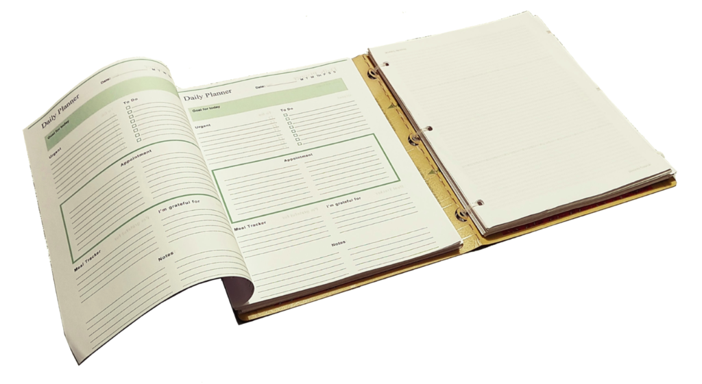 ringless binder with two spines