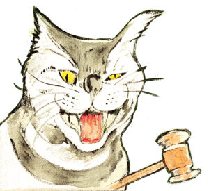 supreme cat