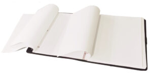 Ringless binder with two sets of ties and spines Ringless binder with two sets of ties and spines