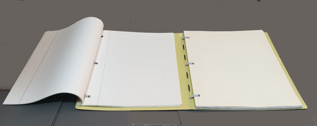 Ringless Binder with two spines