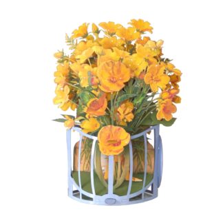 Buttercup flowers