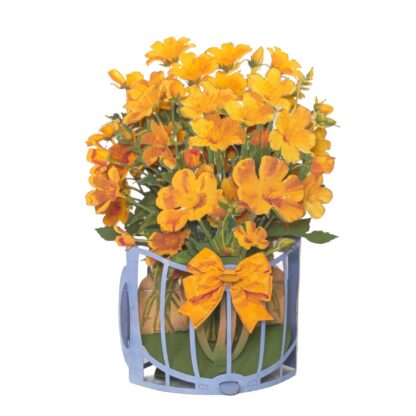 Buttercup flowers