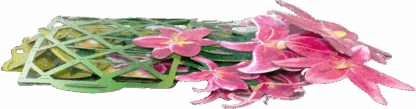 Lilies Pop up bouquet