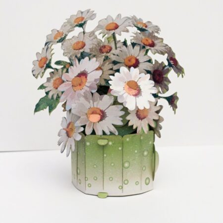 White Daisy Popup card No.38