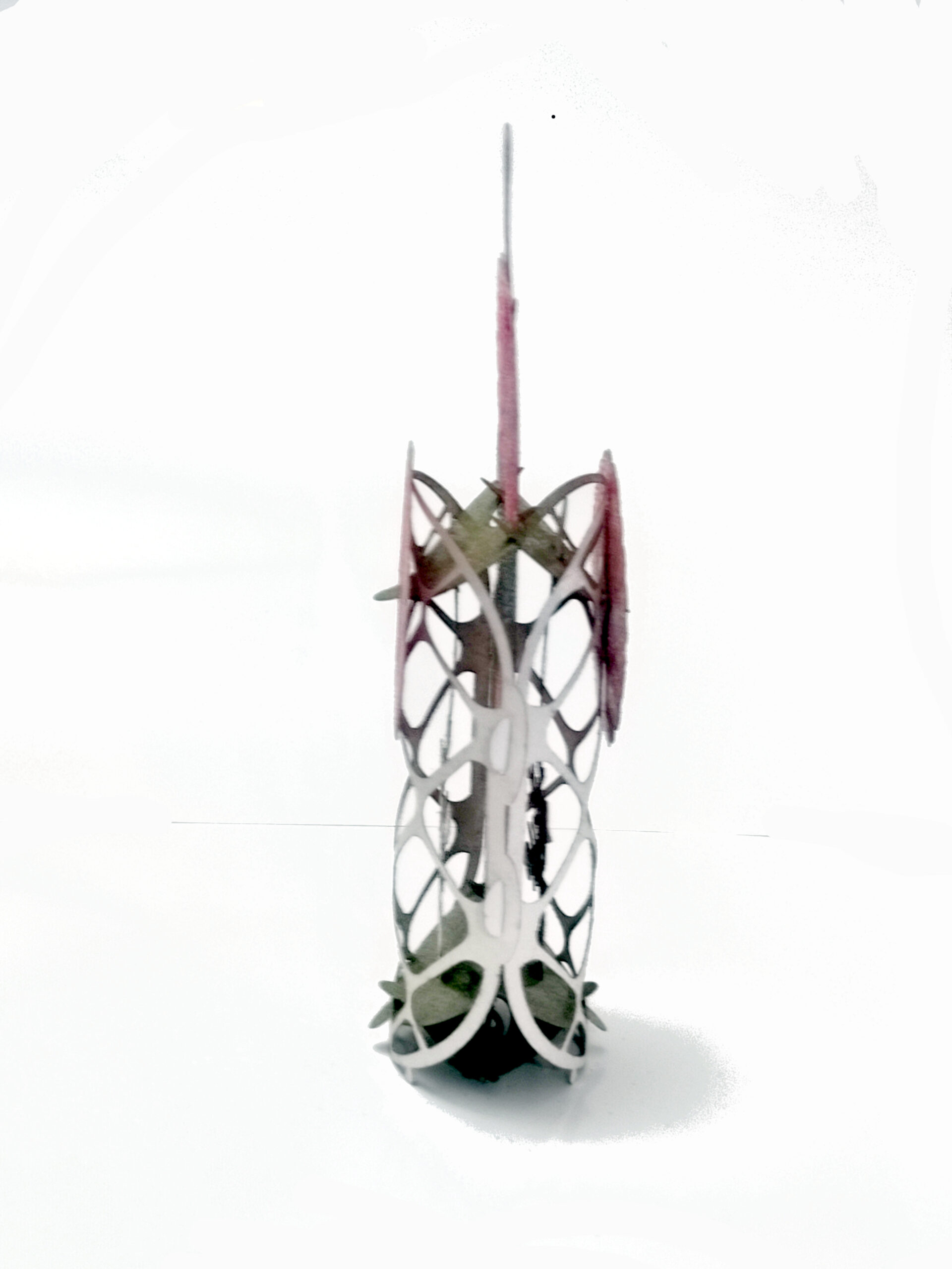 The Gerbera Daisy. Popup Christmas Ornament No. 93 - Image 7